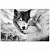 Картина "Волчья верность" 110х70 см.