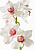 Фотообои Bellissimo "Изысканная орхидея", 4 листа 140х200см