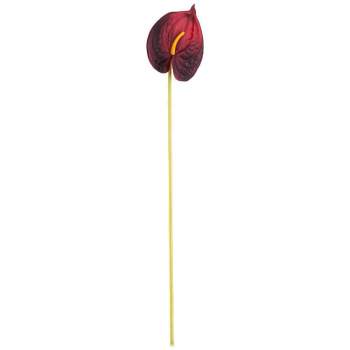 Цветок искусственный "антуриум" высота=51см, бордовый