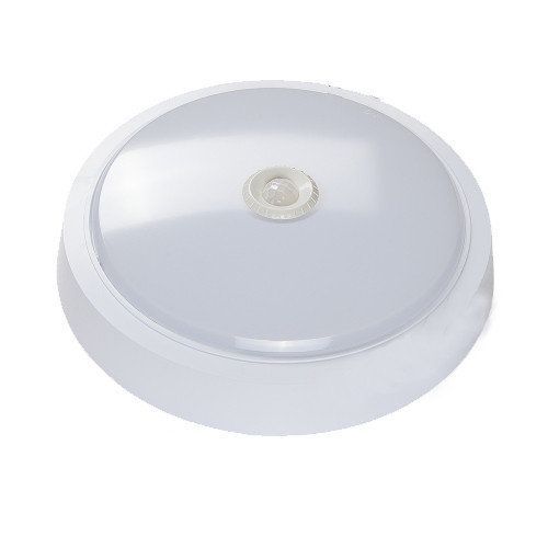 Изображение загружено