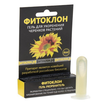 Изображение загружено