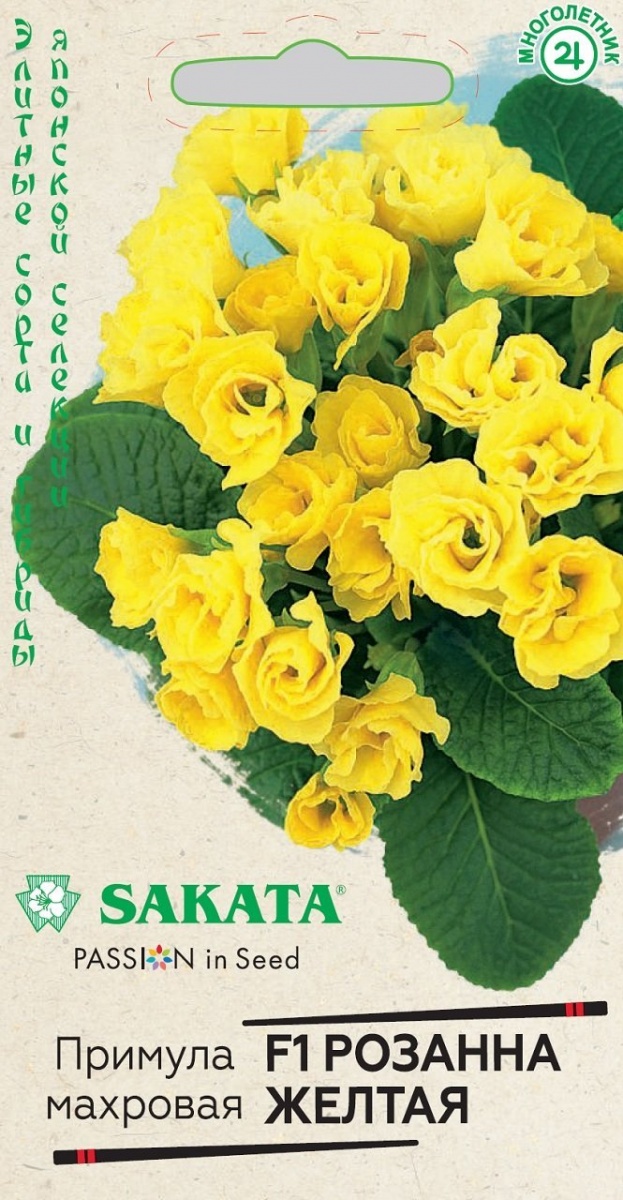 Изображение загружено