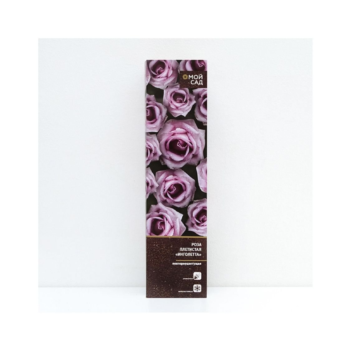 Изображение загружено