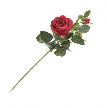 Роза британия 2 цветка бордовая, (CH10301118 - PD048) 