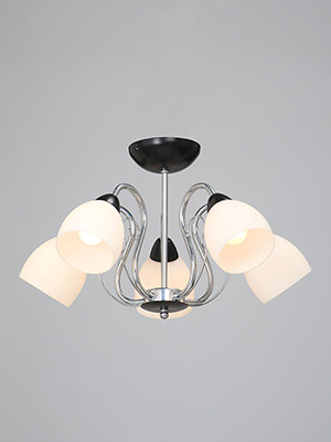 Изображение загружено