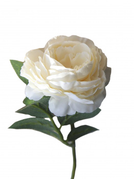 Цветок искусс.Белая Роза из ткани (искусственный шелк, полиэтилен) 28х9х9см
