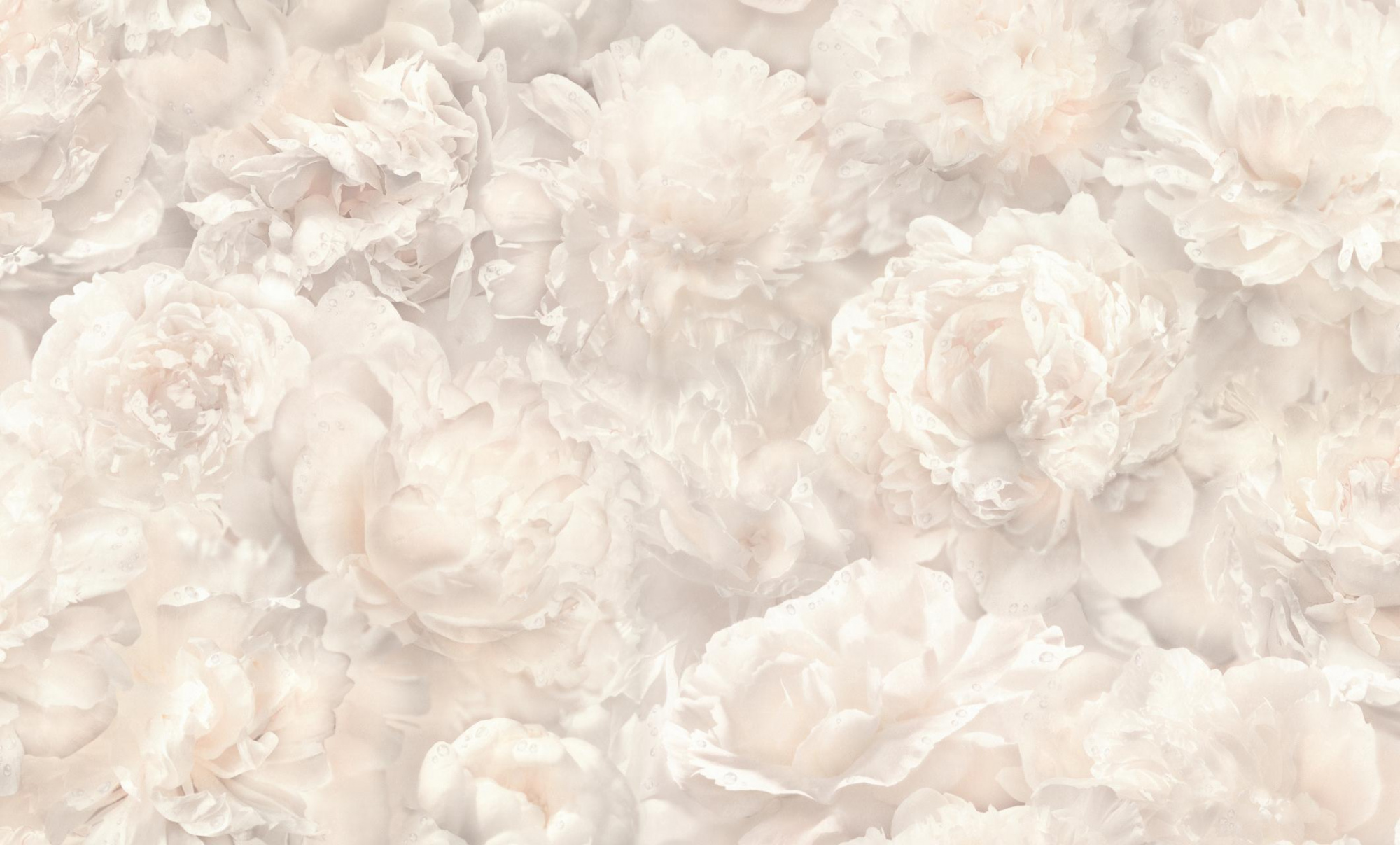 HC71995-12 Обои флизелиновые Pions мотив св-бежевый 1,06х10,05м