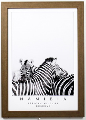 196383 Постер Зебры 50х70х2см