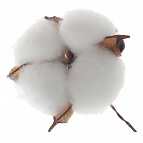 7acc9990f71bd0446ee0ee6c6654fd92