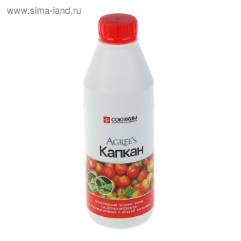 Изображение загружено