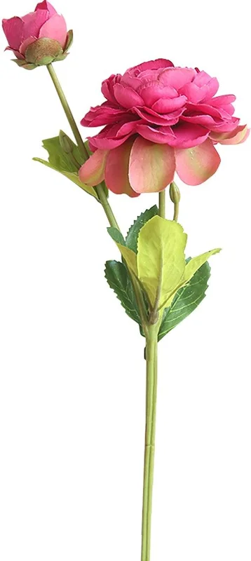 dec887da8a2d48e7158aa1aca5e31890fe797da205f95f6300bf1921e351d414_web