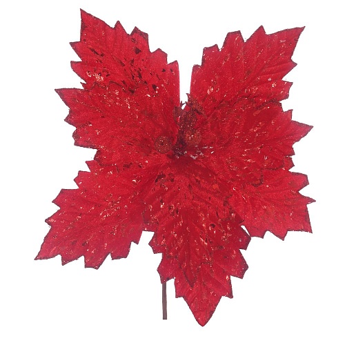 cjznm629m1m5wndwjqnxoeh2d9d7zs4p