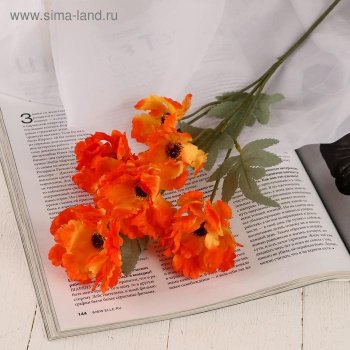 Цветы искусственные "Космея махровая" 8х58 см, оранжевый                