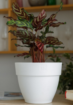 Горшок с дренажной системой Лори VipSet 15,6л белый