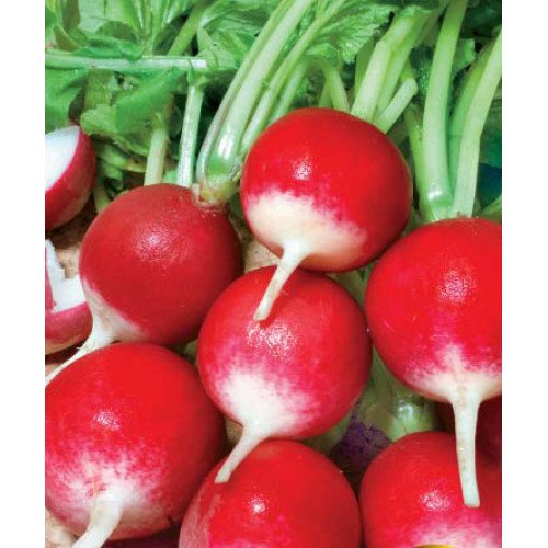 Изображение загружено