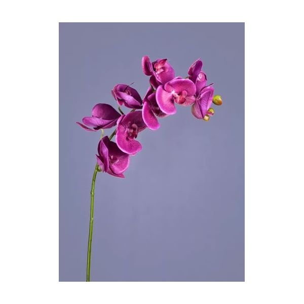 Изображение загружено