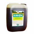 Олифа