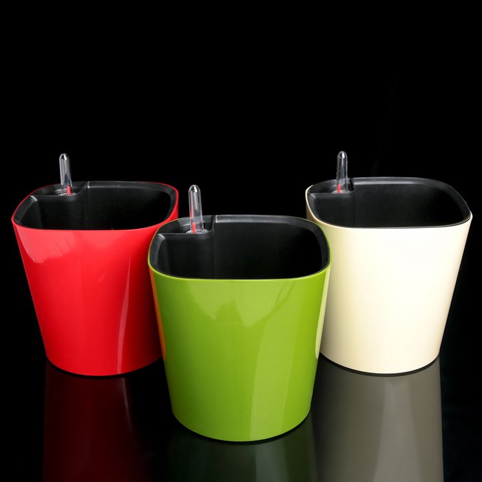 Изображение загружено