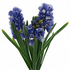 002a1f40018dd632e845539e071b857a