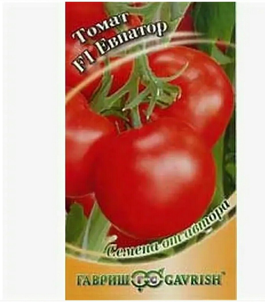 Изображение загружено