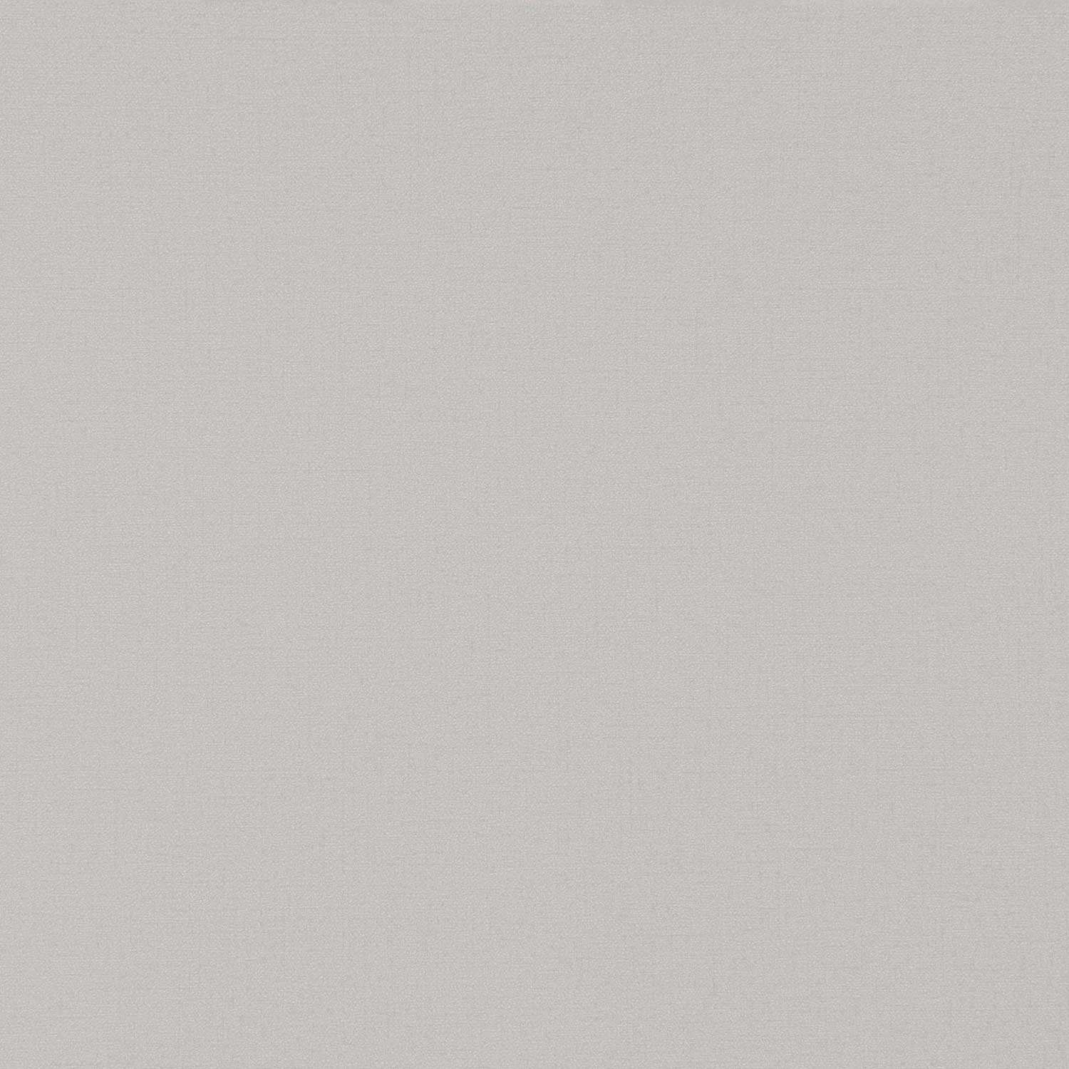 54379-2 Обои флизелиновые Spectrum PRO, фон капучино 1,06х10м