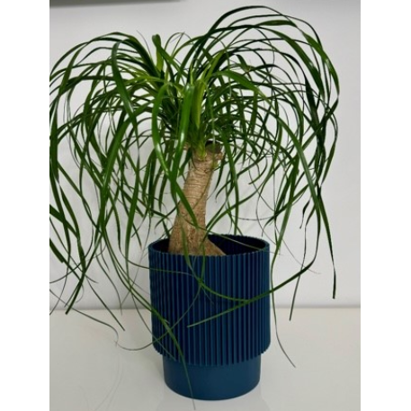 e7805149f8e5fee94bca2f774cebdd11