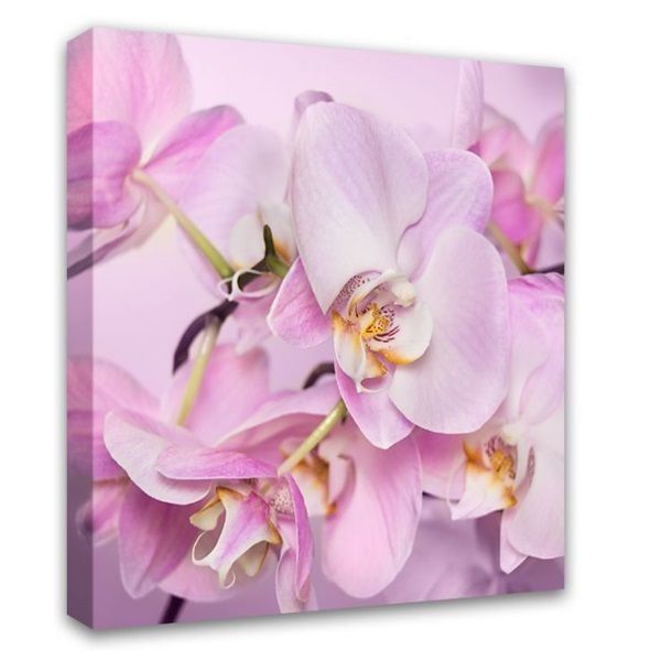 Изображение загружено