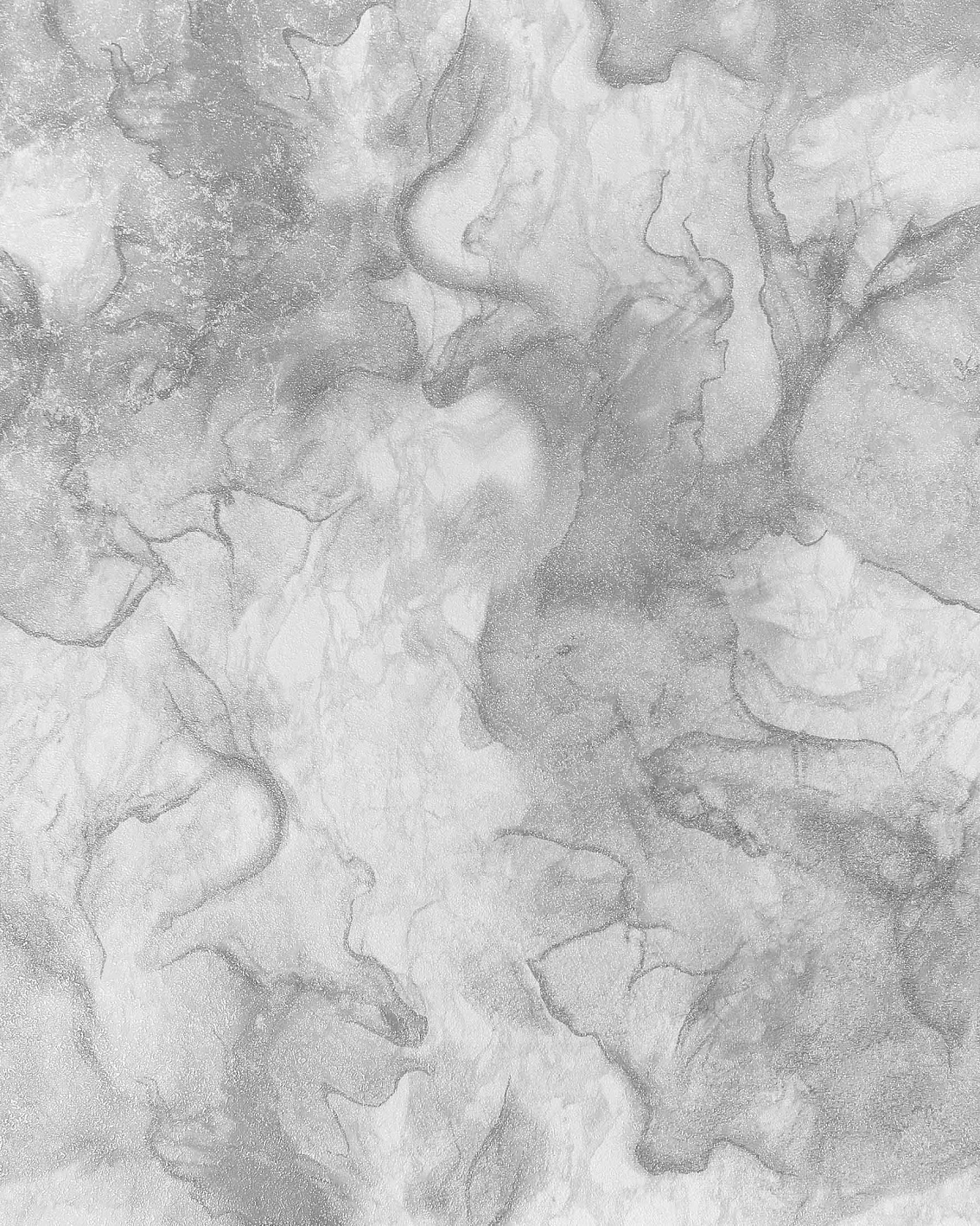 E202008 Обои флизелиновые Disco, фон серый 1,06x10,05м