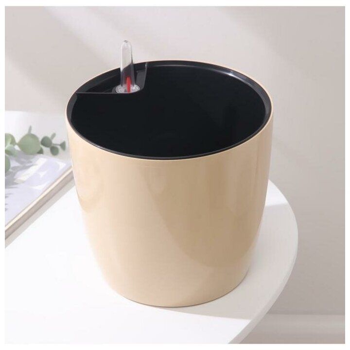 Изображение загружено