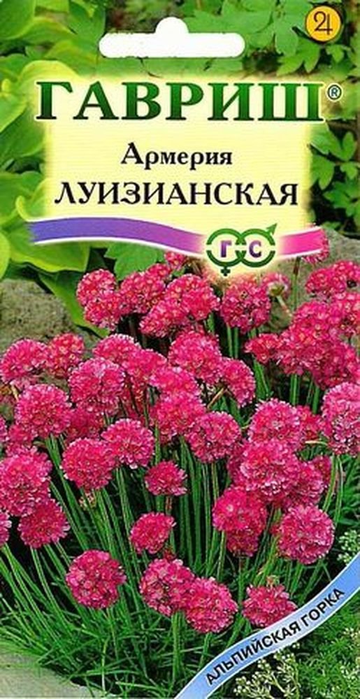 Фото Семян Многолетних Цветов
