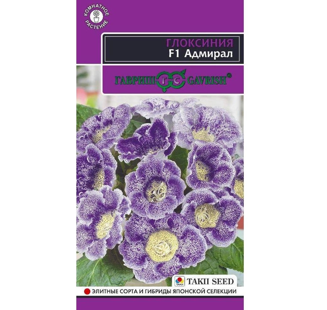 Изображение загружено