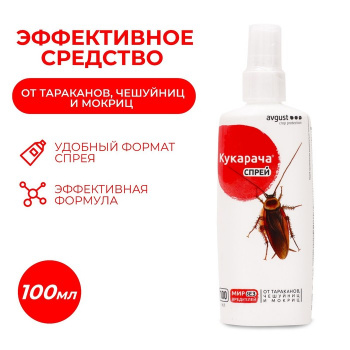 Изображение загружено