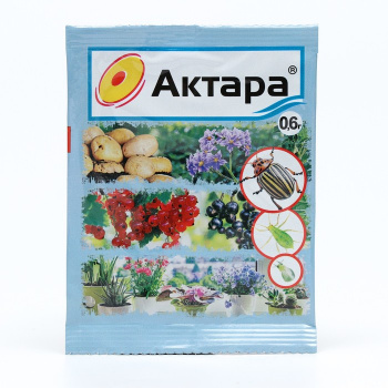 Изображение загружено