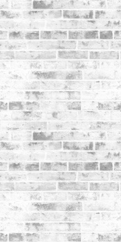 Панель ПВХ Street Brick фотопечать 2700х250х8мм