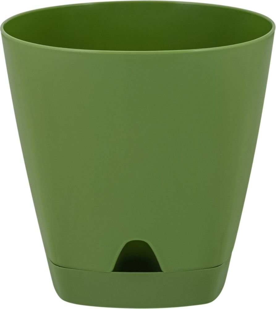 Изображение загружено