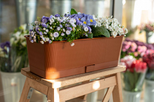 Ящик балконный "Прованс" с подд. 60см, h-13см, 9л  терра 