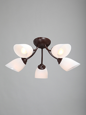 Изображение загружено