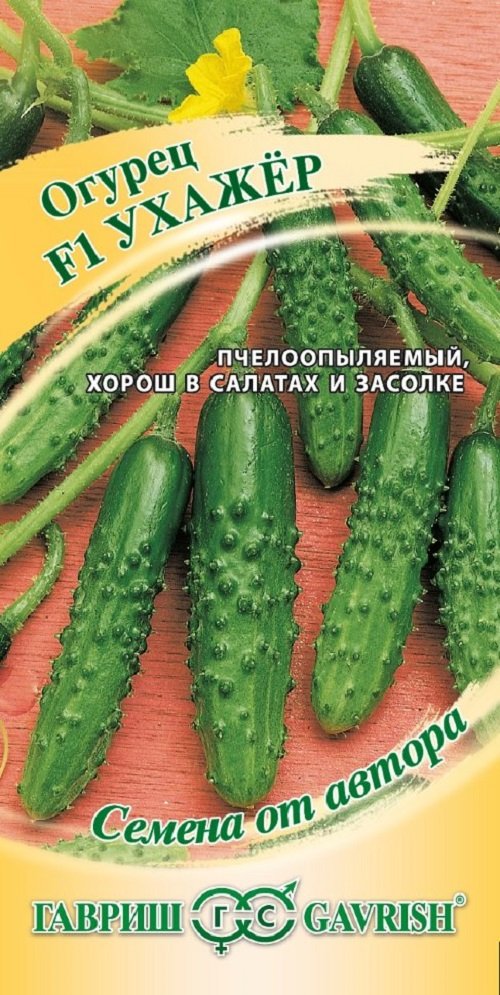 Изображение загружено