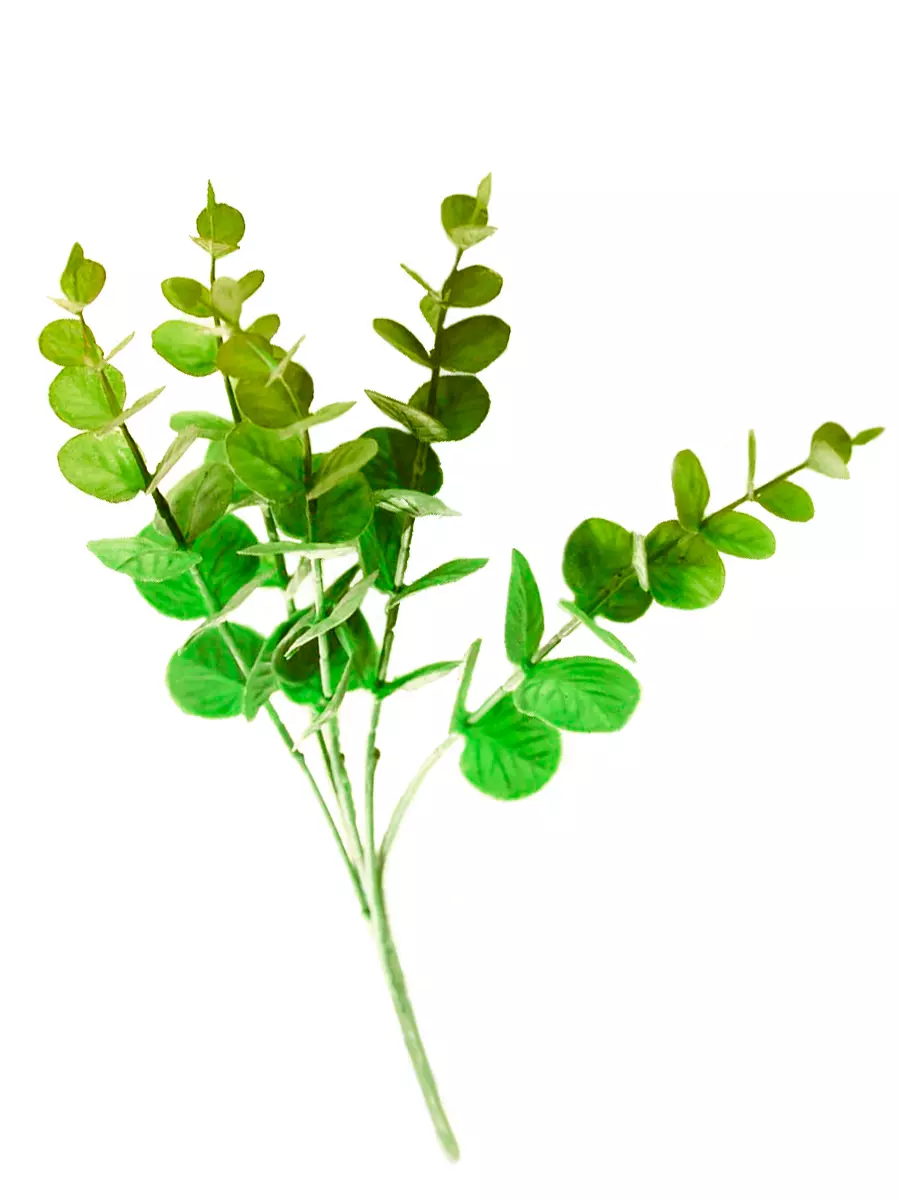 191FA652-E4F8-11EE-9414-003048FBFCC9