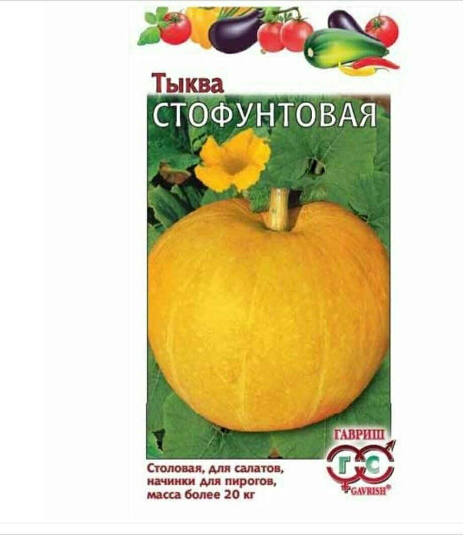 Изображение загружено