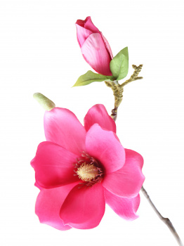 Цветок искусс. Розовая Магнолия из ткани (искусств шелк, полиэтилен) 37х13х13см
