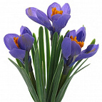 6c057670d7db2ae7b0e8463c243c1661