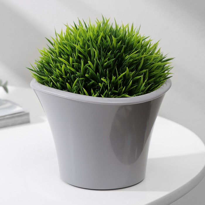 Изображение загружено