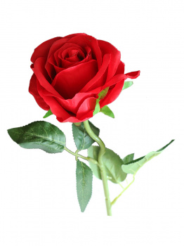 Цветок искусс. Красная Роза из полиэтилена 52х8х8см