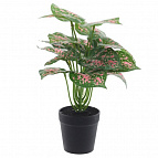 89cf2077db2a50ab6f269751b0bfaabf