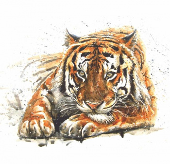 Фотообои Bellissimo "Амурский тигр", 4 листа 140х140см