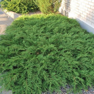 g-katalog-59-20-0188-400x400