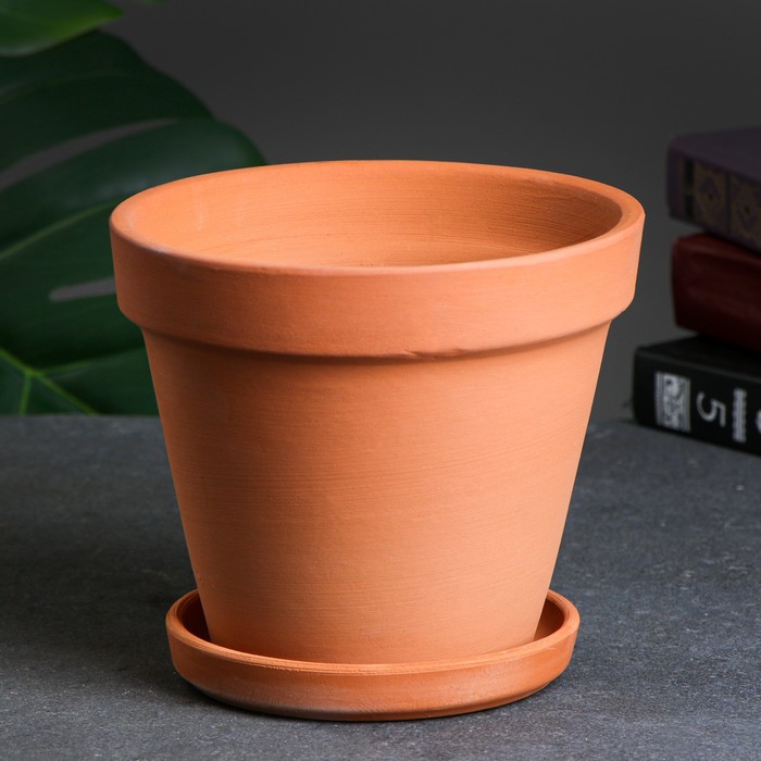 Изображение загружено