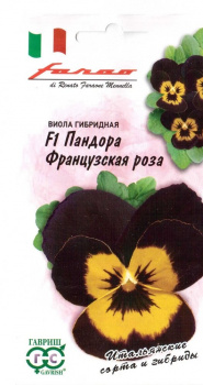 Виола Пандора французская роза 5 шт. серия Фарао Н18