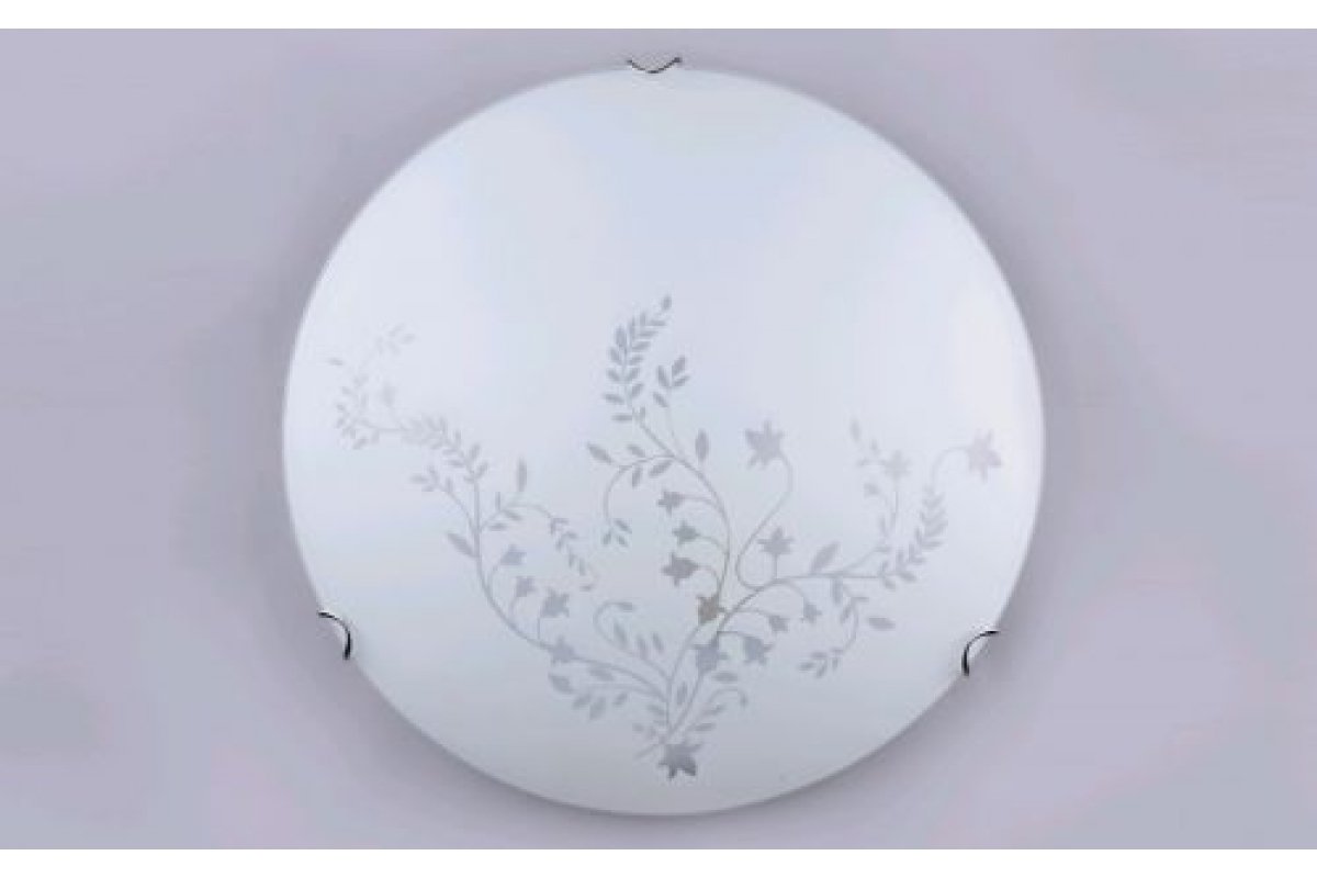 Изображение загружено